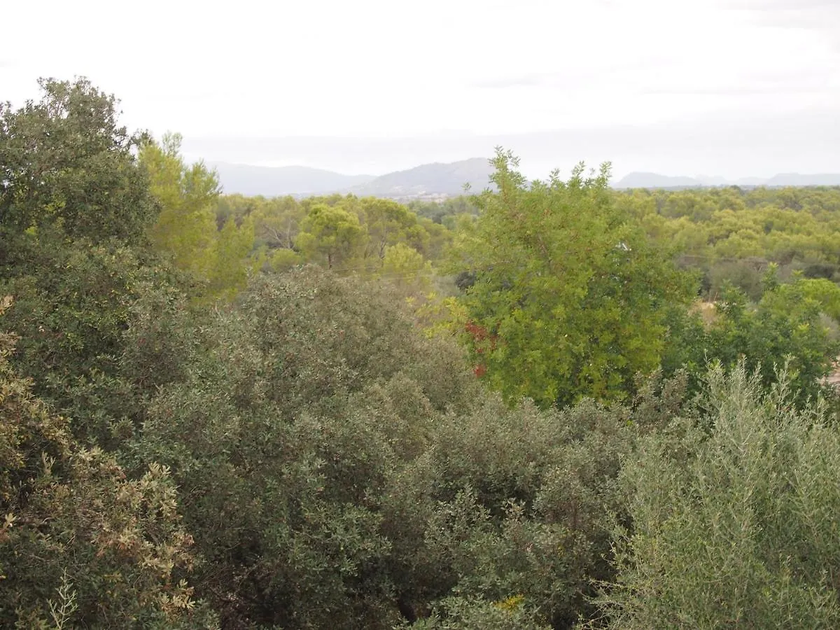 Villa S' Alzina Sencelles 0*,